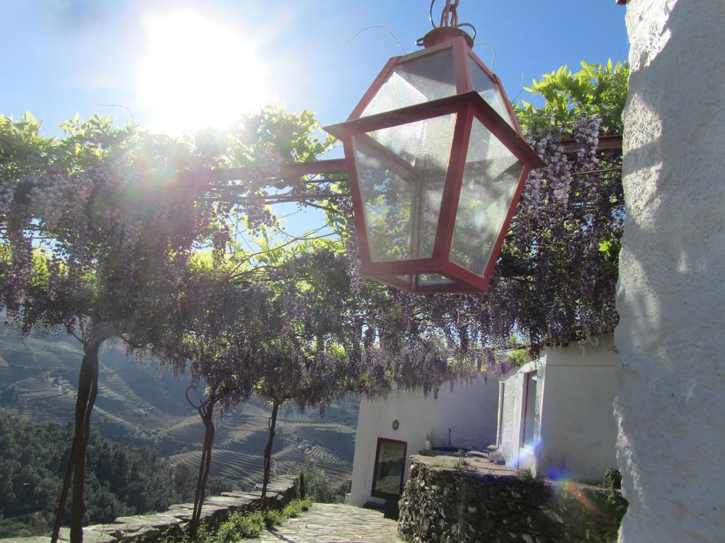 Country House Quinta Da Salgueira Alijó Exteriér fotografie