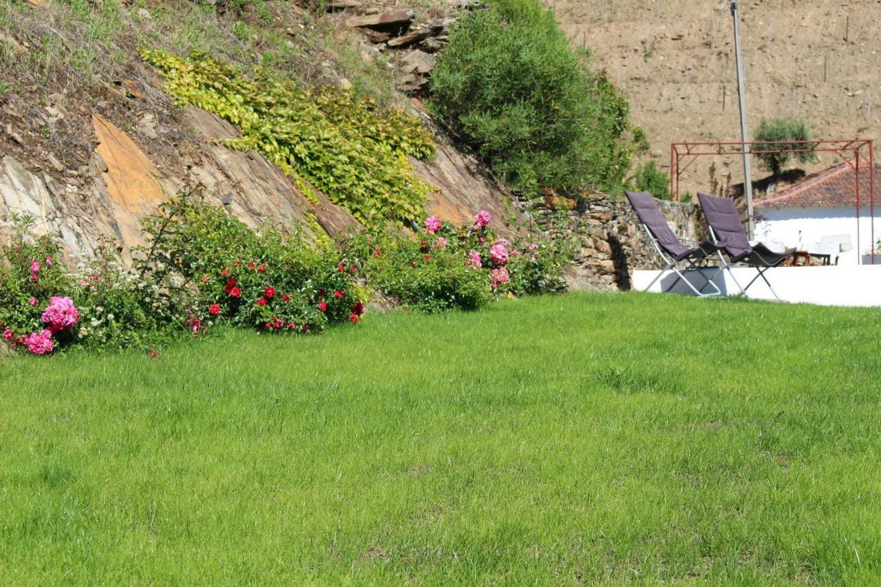 Country House Quinta Da Salgueira Alijó Exteriér fotografie